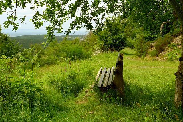 其中包括湖 其中包括湖