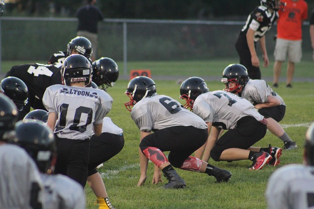 关注的案例 关注的案例