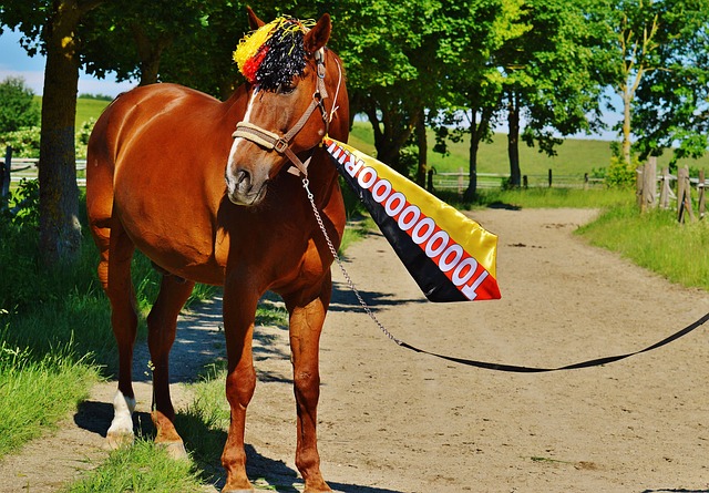 好的執教理 好的執教理
