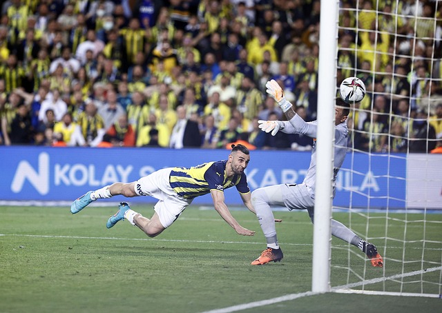 忠誠與價值 忠誠與價值