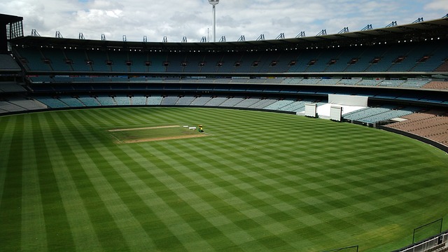 作为世界顶 作为世界顶