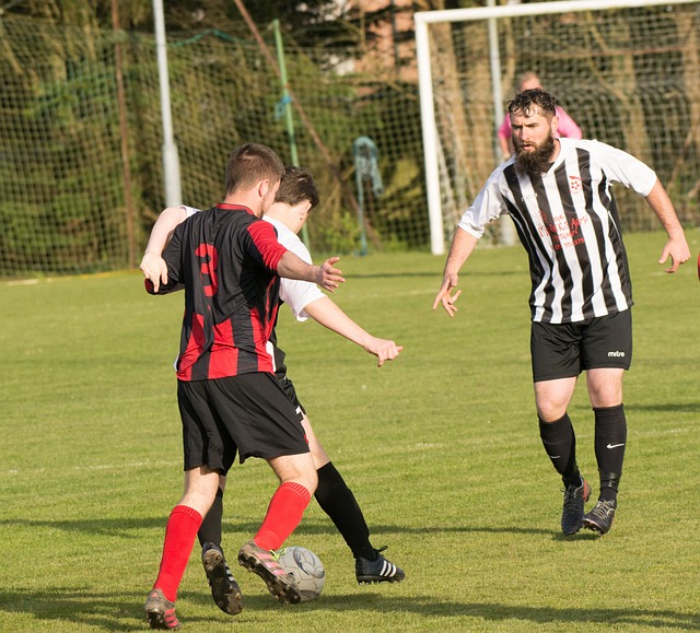 是行山夜遊 是行山夜遊